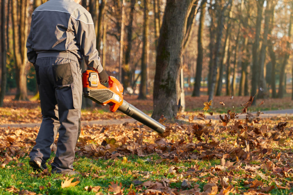 Tree Busters