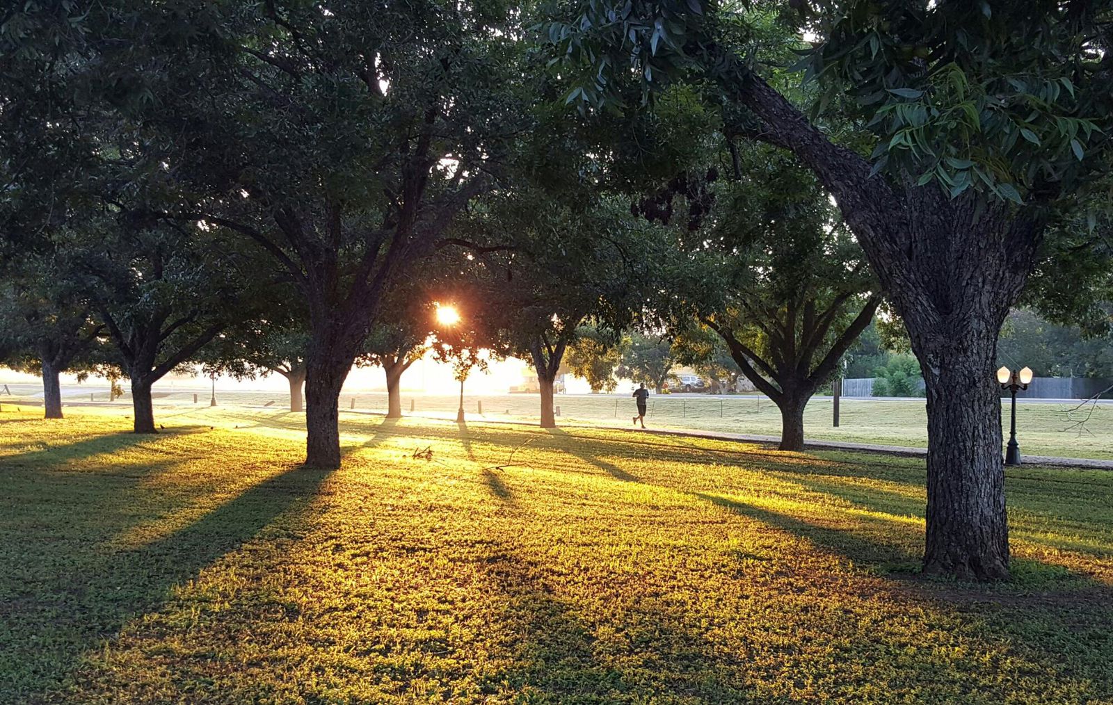 How to Capture the Beauty of Nature: Park Photography for Beginners